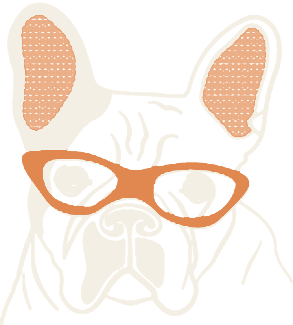 Gismo – Französische Bulldogge mit Brille, das Maskottchen des Ladens